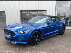 FORD Mustang Convertible 5.0 V8 421ch GT BVA6 - PAS DE MALUS - ou 719e/m ss apport