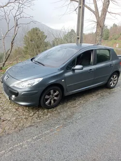 Peugeot 307 (307)