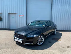 Jaguar XF 3.0 D 300ch Business Prestige / Suivi complet chez Jaguar