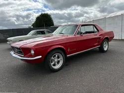 Ford MUSTANG V8 289CI COUPE