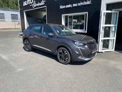 Peugeot 2008 BUSINESS BlueHDi 130ch S&S Allure EAT8 CAMERA