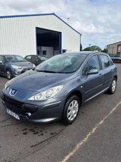 Peugeot 307 1.6 HDI 90cv pack confort 120000km