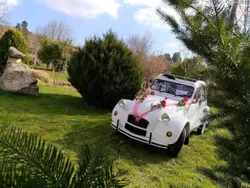 Citroën 2CV Club