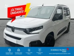 Citroen Berlingo Berlingo Combi BlueHDi S&S Talla M Plus 100