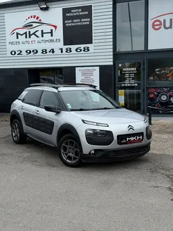 Citroen C4 Cactus BlueHDi 100 Shine Edition