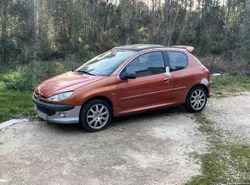 Peugeot 206 2.0 gti s16