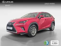 LEXUS NX 300h Business Navigation 2WD