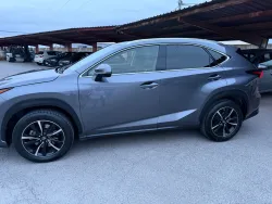 LEXUS NX 300h Business 2WD