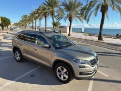 Skoda Kodiaq Kodiaq 2.0TDI AB tech Scout 4x4 DSG 110kW Scout