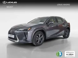 LEXUS UX 300h UX+