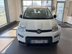 FIAT Panda 1.0l - 70 ch Hybride BSG S/S City Life