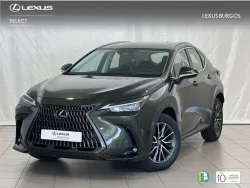 Lexus NX 300h 350h Business City 4WD