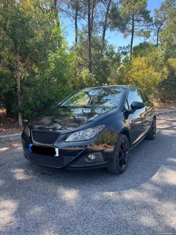Seat Ibiza 6J