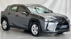 Lexus UX 250h Business de 2021