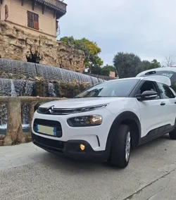 C4 cactus essence 1.2 vti
