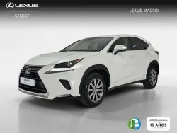 LEXUS NX 300h Business Navigation 2WD
