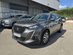 Peugeot 2008 1.5 BLUEHDI 100CH S&S ACTIVE BUSINESS