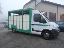 Opel movano betaillere