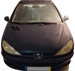 Peugeot 206 1.1 XR Présence