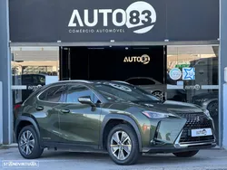 Lexus UX 300e Luxury