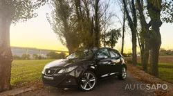 Seat Ibiza de 2010