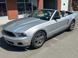 Ford Mustang CABRIOLET V6 305 CH BVA - 26490