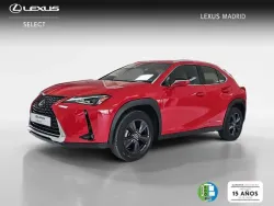 LEXUS UX 250h Business 4WD
