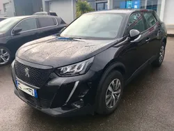 Peugeot 2008 1.5 bluehdi 100ch active business