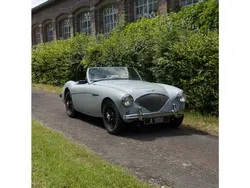 Austin healey 100 bn1 - kit lemans
