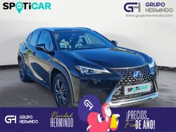 LEXUS UX 250h Business 4WD