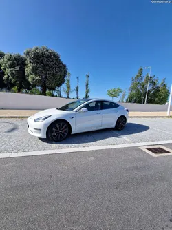Tesla Model 3 model 3 perfomance