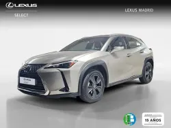 LEXUS UX 250h Business 4WD