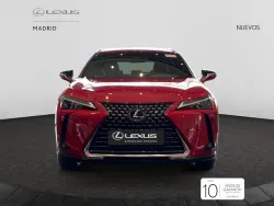 LEXUS UX 300h UX+