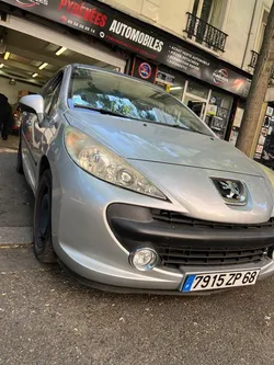 207 toit pano 3000 euros