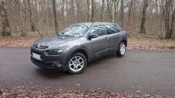 Tres beau CACTUS DIESEL 58000km SEULEMENT 100CV 14990