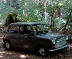 MINI 1000 Classico
