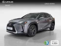 LEXUS UX 250h Business 4WD