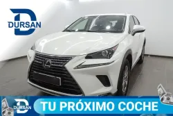 LEXUS NX 300h Business 2WD