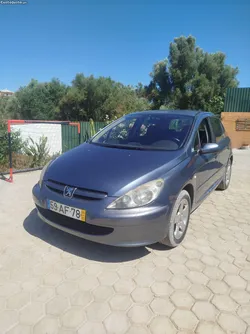 Peugeot 307 1.6 Diesel-Impecável-Nada a Fazer-110cvs-Oportunidade!
