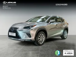 LEXUS NX 300h Business 2WD