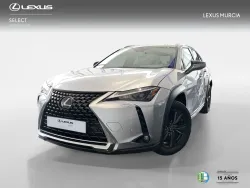 LEXUS UX 300e Executive