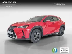 LEXUS UX 250h Business 4WD