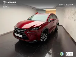 LEXUS NX 300h Business 2WD