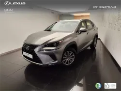 LEXUS NX 300h Business 2WD