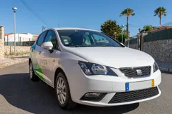 Seat Ibiza 6J