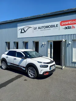 Citroën C4 Cactus BlueHDi 100 S&S BVM6 Feel Business