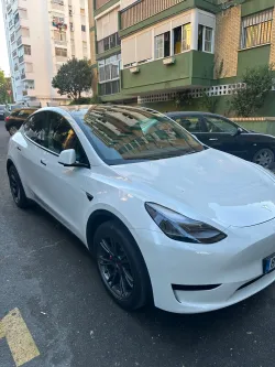 TESLA Model Y RWD