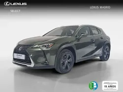 LEXUS UX 250h Business 4WD