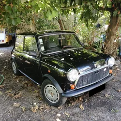 MINI 1000 HLE