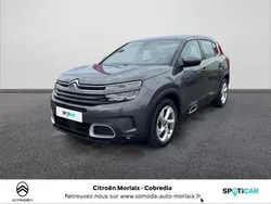 Citroen C5 Aircross BlueHDi 130ch S&S Business EAT8 E6.d